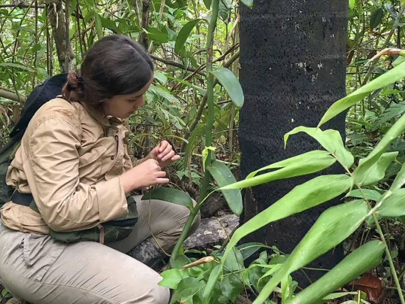 Estudiante de Biología haciendo investigación en Perú