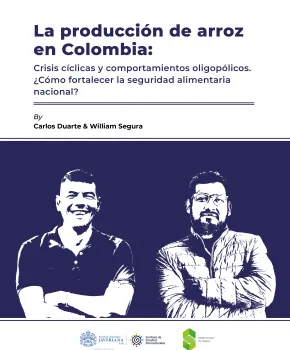 La producción de arroz en Colombia: La producción de arroz en Colombia: