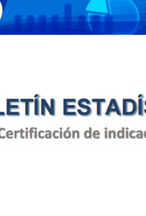 Boletín estadístico 2014