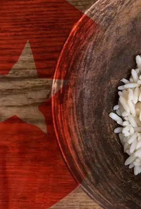 Previsualización-NoticiaAlimento Previsualización-NoticiaAlimento